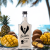 WARTA 500 ML BIMBER (17).png