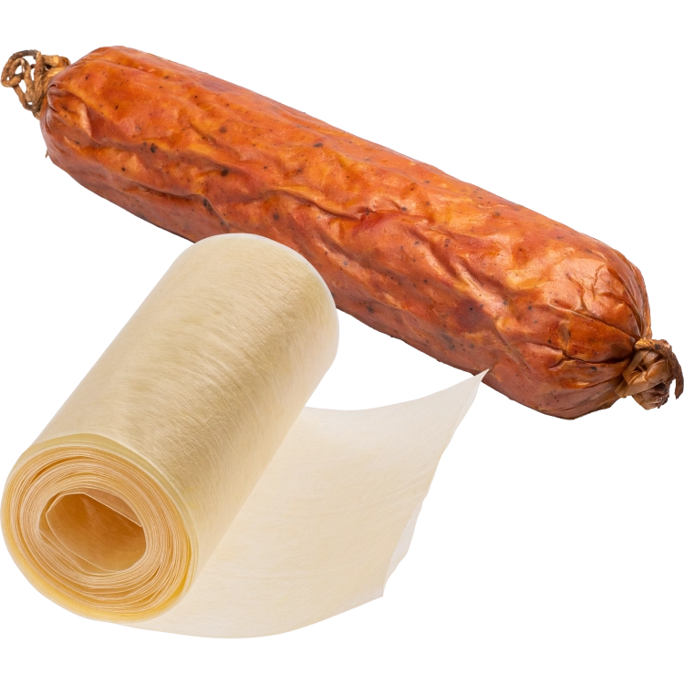 310301_a.png