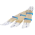 310604_a.png