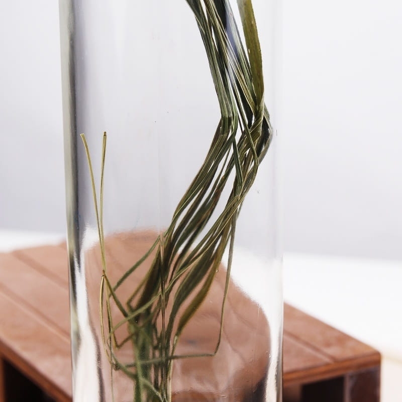 domowa produkcja, składnik, aromat, ziołowy smak, alkohol